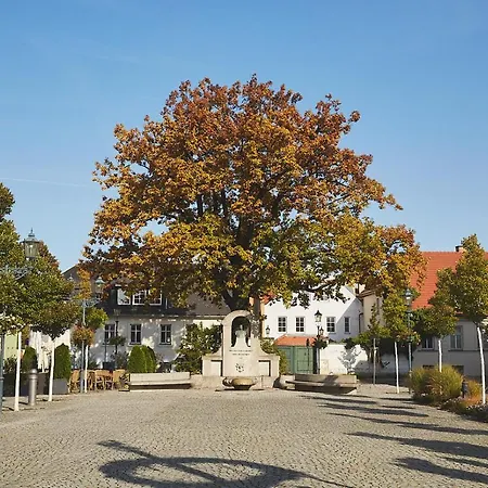 Altstadtloft 아파트 *