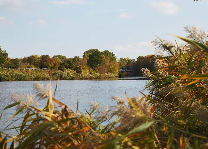 Altstadtloft Lejlighed